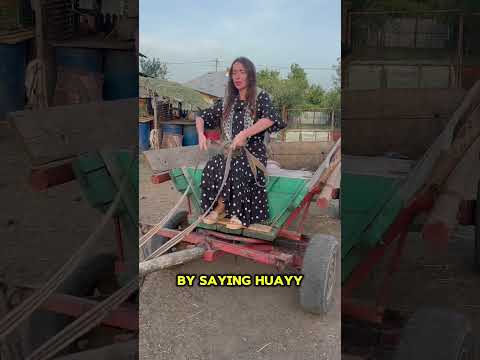 Better than a Tesla #balkans #slavic #comedy