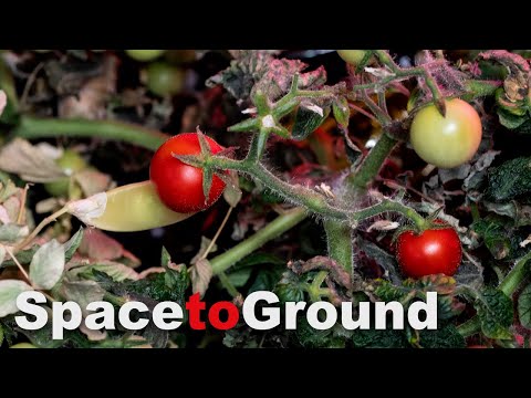 Space to Ground: New Year, New Food: 01/06/2023