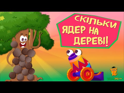 Дива природи. Явища навколо нас. Коуропіта гаянська, або дерево «Гарматне ядро»