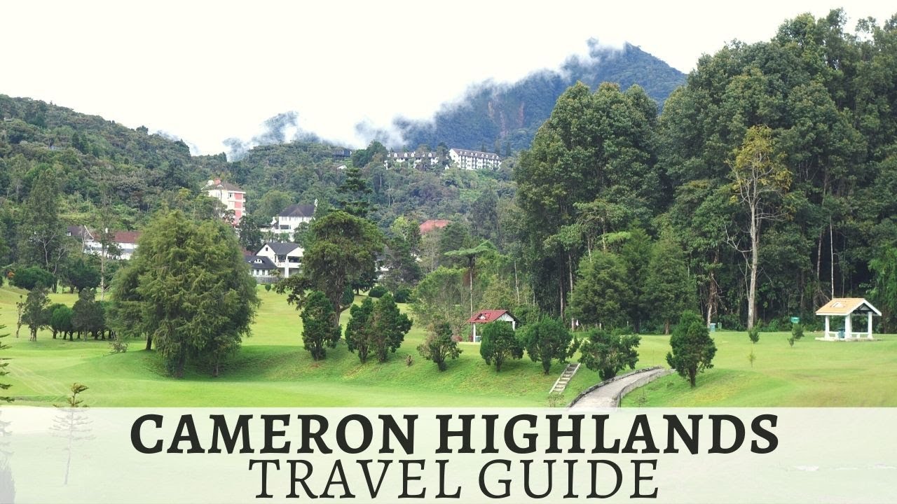 BEST Things to Do in Cameron Highlands! | Travel Malaysia Guide