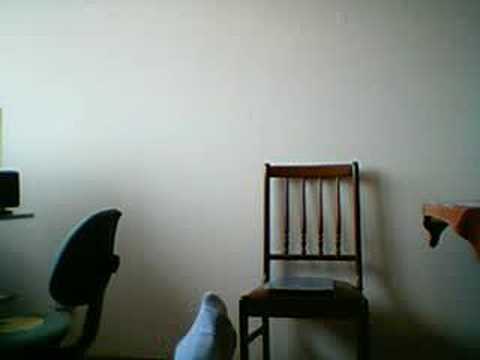 Re: Antonio Orozco - "hoy todo va al revés" con Tote King