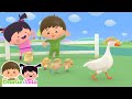 Five Little Ducks Nursery Rhymes Counting Numbers Song For Toddlers Charlie Lola