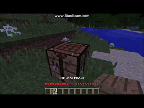 Minecraft Survival : Lets Play! Ep.1 Whole New World!