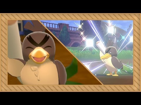 [LIVE] Shiny Galarian Farfetch'd after 1,529 encounters in Pokémon Sword [Full odds]