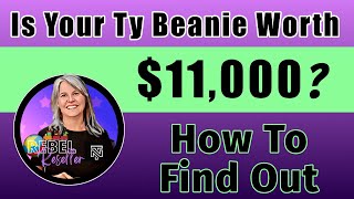 Is Your Ty Beanie Worth $11,000? Full Time eBay Seller Shows How To Find Out