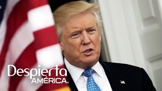 Trump no trabajará en el muro ni en deportaciones en sus primeros 100 días