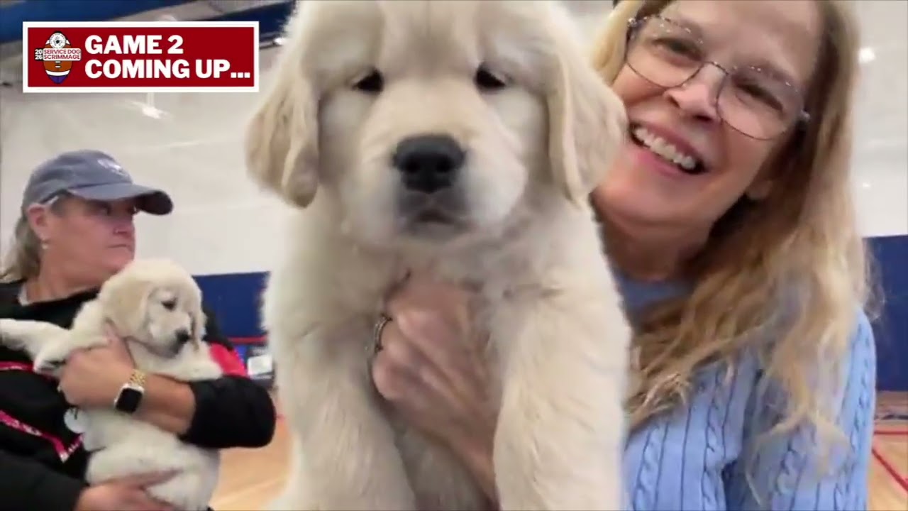 The 2026 4 Paws for Ability Service Dog Scrimmage, Sponsored by Danis