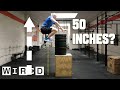 Why It S Almost Impossible To Jump Higher Than 50 Inches WIRED