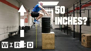 Why It&#39;s Almost Impossible to Jump Higher Than 50 Inches | WIRED