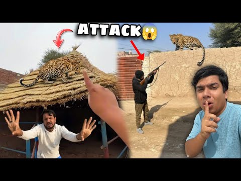 Leopard Ko Mar Diya 😱 SW Waleed Bhai Ki Help Se 😎