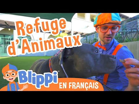 Blippi Visite Un Refuge d’Animaux