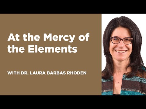 At the Mercy of the Elements