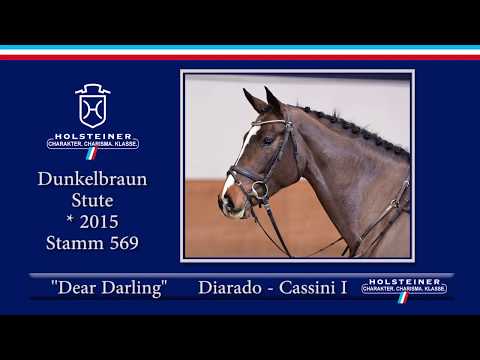 Holsteiner Frühjahrsauktion 2020 - Nr. 115 Dear Darling v. Diarado - Cassini I