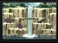 Disney S Activity Center Tarzan Trailer