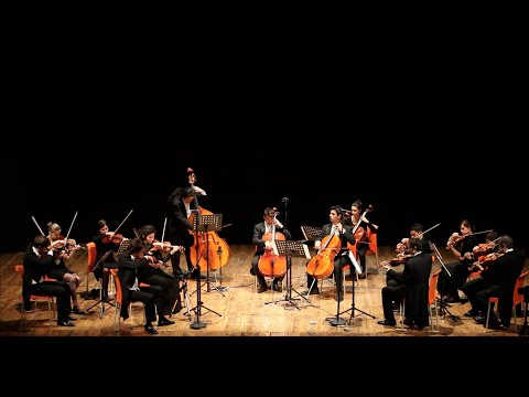 A. Vivaldi Conc. RV398, RV406, RV531; A. Dvorak - Nocturne op.40. R. Cohen, A. Copia, perosiensemble