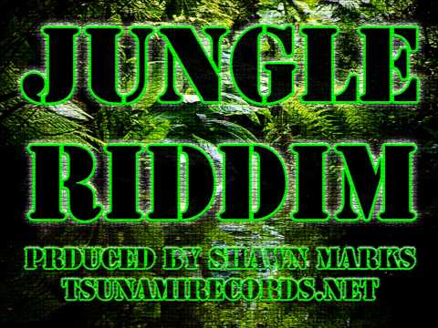 Jungle Riddim Made With FL STUDIO
