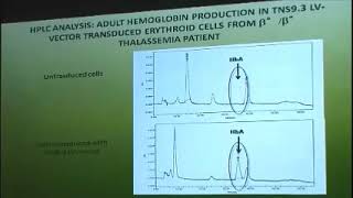 Talassemia e Drepanocitosi, patologie proiettate nel futuro - 3 marzo 2014 Caltanissetta