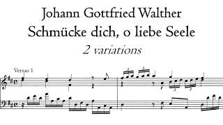 Walther - Schmücke dich, o liebe Seele - Klais organ, Lubin, Hauptwerk