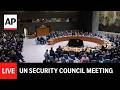 LIVE UN Security Council Meeting On Peacekeepers Killed In Lebanon