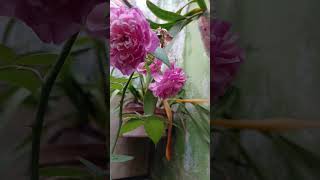 mim fortalecer na fé amém