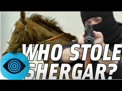 The mysterious disappearance of Shergar!