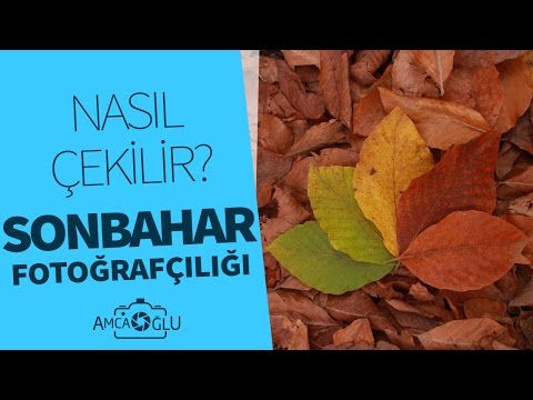 download lagu mp3 mp4 Sonbahar Fotoraflar, download lagu Sonbahar Fotoraflar gratis, unduh video klip Sonbahar Fotoraflar