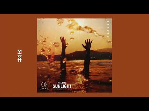 Re.You - Sunlight (Animal Trainer Remix) (MIDH Premiere)