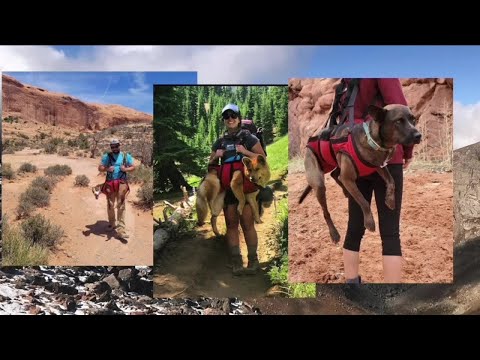 In Good Company: Fido Pro