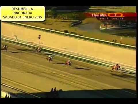 RESUMEN LA RINCONADA SABADO 31 ENERO 2015
