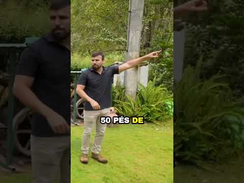 ESSE SÍTIO TÁ MAIS BARATO QUE UM APARTAMENTO