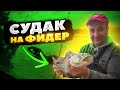 Фото СУДАК на ФИДЕР - Рыбалка на ДНЕПРЕ