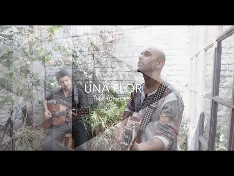 David Deflores - Una Flor