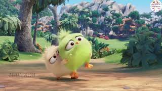 Little Angry birds WhatsApp status  ethical youtub