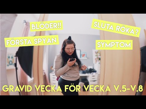 FÖRSTA VECKORNA v.5-v.8 (gravid vecka för vecka)