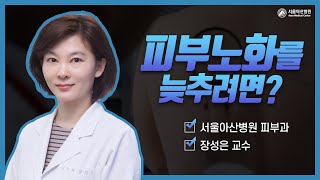 피부<b>노화</b>를 늦추려면 미리보기 썸네일