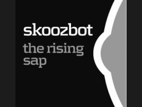 Skoozbot - Like Stigmergy [320kbps]