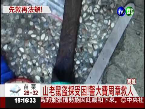 上山盜採牛樟菇! 山老鼠受困被捕