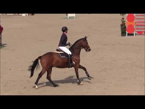 LORD LUCIE 13j. v. Lordanos - Landgraf VB 20.000,- Euro