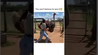 Download lagu You won't believe he won it 😱 #funny mp3