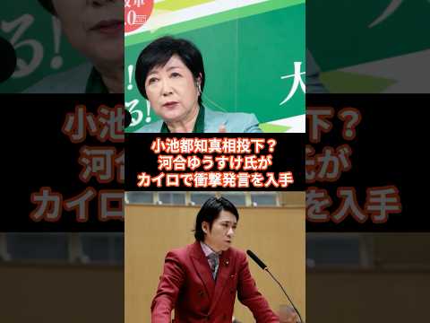 小池百合子氏の学歴詐称問題のカイロ大学卒業の真相をめぐって｜スキマNEWS