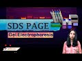 SDS PAGE I Polyacrylamide Gel Electrophoresis I Technique Complete Detail