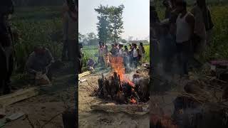 Download lagu jite bhi lakdi marte bhi lakdi dekh Tamasha##6ix9ine mp3 Download lagu jite bhi lakdi marte bhi lakdi dekh Tamasha##6ix9ine mp3