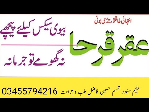 Akarkarha Ke Tibbi Fayde | Anacyclus pyrethrum Benefits In Urdu | Aqarqara For Health