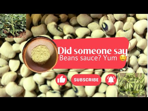 How to cook black eyed beans sauce (otshigari)- a Namibian traditional dish!