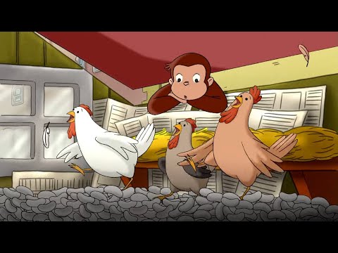 Capa de George, o Curioso | George ajuda as galinhas | Desenhos Animados em Português