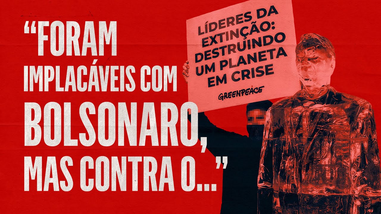 A atuação Greenpeace no Brasil