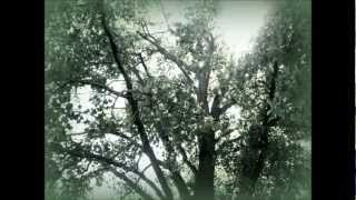 Wye Oak - Civilian - with lyrics