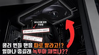 퀘이사존