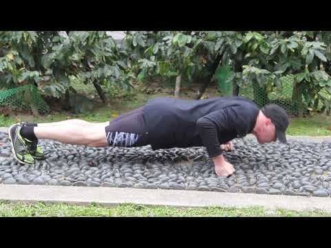 Sasha Alexeev -  piano and mobility