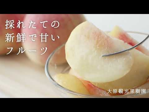 【岡山・新見市】千屋牛＆絶景！観光スポットガイド